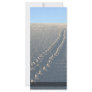 Lake McConaughy Rack Card