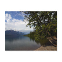 Lake Mcdonald Is The Largest Lake In Glacier Natio postcards by lifesphere Lake Mcdonald Is The Largest Lake In Glacier Natio postcards