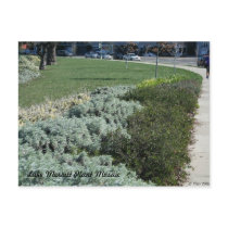 Lake Merritt Plant Mosaic