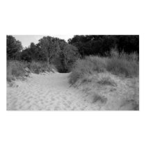 Lake Michigan Dunes business cards