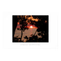 Lake Michigan Sunset posters by pam_cr Lake Michigan Sunset posters