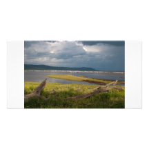 Lake Nakuru with Flamingos Customized Photo Card