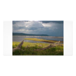 Lake Nakuru with Flamingos Customized Photo Card