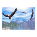 Lake of the Eagles posters by online_art Lake of the Eagles posters