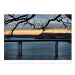Lake of the Ozarks Postcard