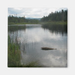 Lake Padden Stillness Fridge Magnet