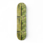 Lake Penny Skate Boards