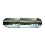 Lake Penny Skate Board Decks