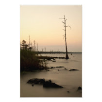 Lake Pontchartrain Sunset Photograph