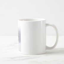Lake Reflection Coffee Mug