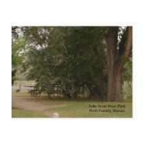 Lake Scott State Park postcards by wksimages Lake Scott State Park postcards