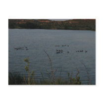 Lake Scott State Park Swimmers 02 postcards by wksimages Lake Scott State Park Swimmers 02 postcards