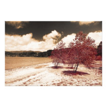 Lake shore photograph