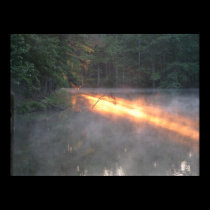Lake sunrise posters