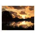 Lake Sunset posters