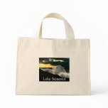 Lake Superior bags