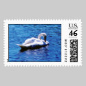 Lake Swan postage by cmiper Lake Swan postage