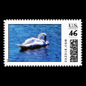 Lake Swan postage by cmiper Lake Swan postage