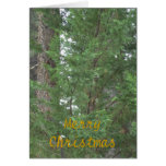 Lake Tahoe Christmas Collection Card