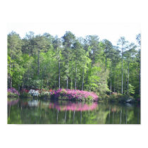 Lake View posters by Aleeya Lake View posters