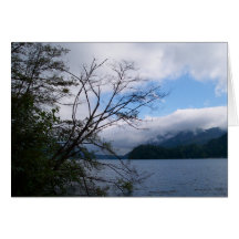 Lake Whatcom Greeting Cards