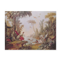 Lake with geese, storks, parrots and herons postcard