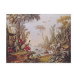 Lake with geese, storks, parrots and herons postcards