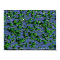Lake Wood Drive III posters by pterandon Lake Wood Drive III posters