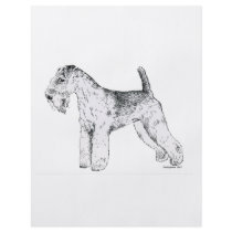 Lakeland Terrier flyers