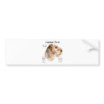 Lakeland Terrier History Design Bumper Sticker