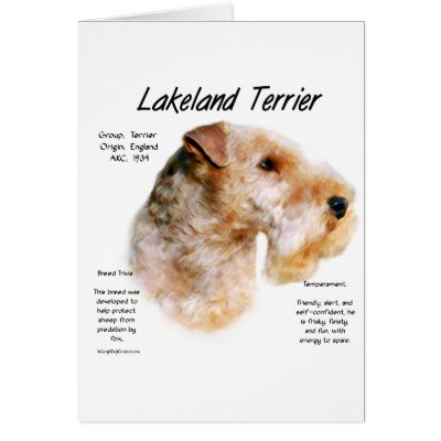 Lakeland Terrier History Design Cards by GreyWolfCreation