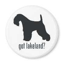 Lakeland Terrier Refrigerator Magnets