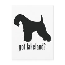Lakeland Terrier Postcard