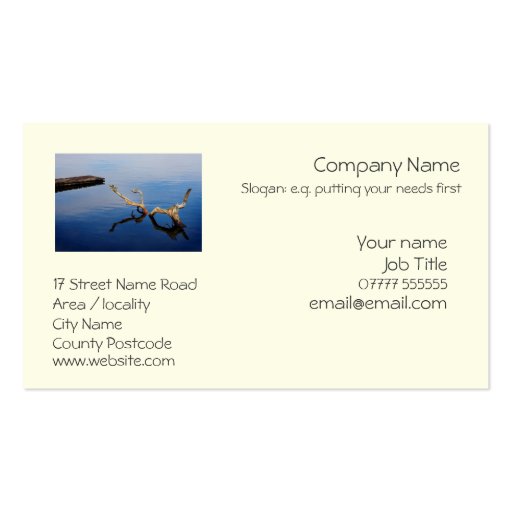 Lake's Edge generic business card template (front side)