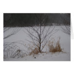 Lake's Edge, Winter Card