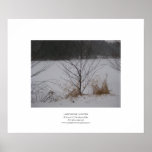 Lake's Edge, Winter Posters