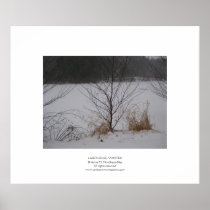 Lake's Edge, Winter Posters