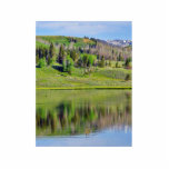 Lakes Reflections Photo Sculptures