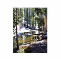 Lakes Trees Forrests photo sculptures by lifesphere Lakes Trees Forrests photo sculptures