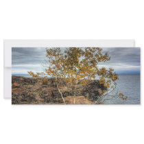 Lakeshore Tree Custom Rack Card
