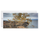 Lakeshore Tree Custom Rack Card