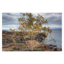 Lakeshore Tree Stationery