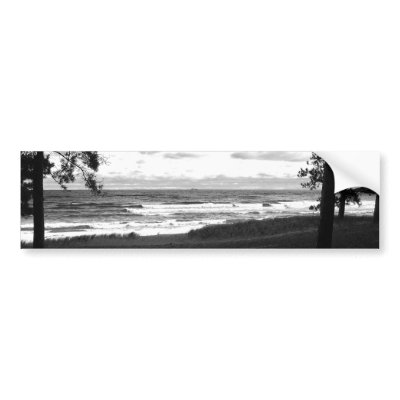 Lakeside Beauty Bumper Sticker by flyingdisc