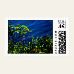 Lakeside Bloom Postage