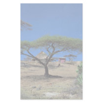 Lakeside scene at Lake Langano, Ethiopia Customized Stationery