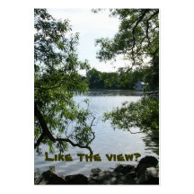 LakeView Real Estate Business Cards