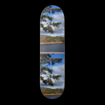 Lakeview Skateboard skateboards
