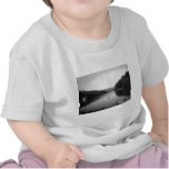 LakeViewz4 t-shirts