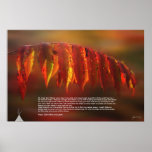 Lakota Prayer Poster