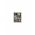 lallorona, Aaay Mis Hijos! t-shirts by vman21 lallorona, Aaay Mis Hijos! t-shirts